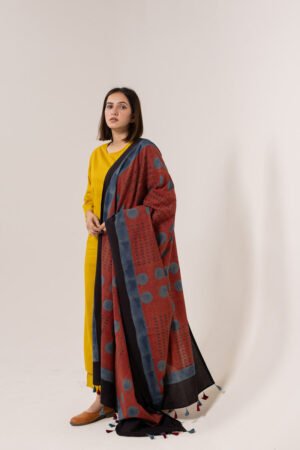 Set of 3 - Kurta, Dupatta & Pants - Earthy Echoes 01 - Image 6