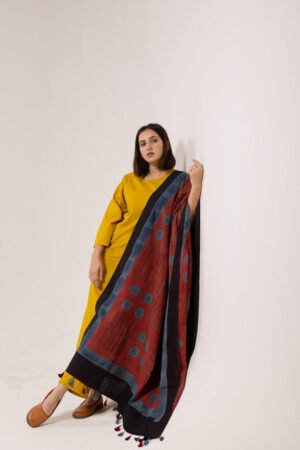 Set of 3 - Kurta, Dupatta & Pants - Earthy Echoes 01 - Image 5