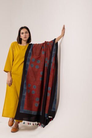 Alternative view of Set of 3 - Kurta, Dupatta & Pants - Earthy Echoes 01