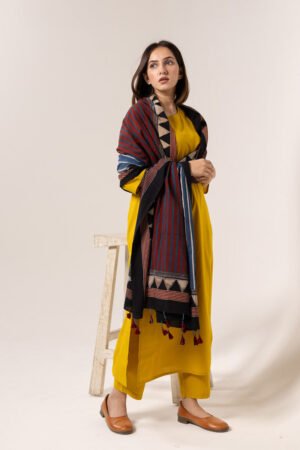 Alternative view of Set of 3 - Kurta, Dupatta & Pants - Aabaan 05